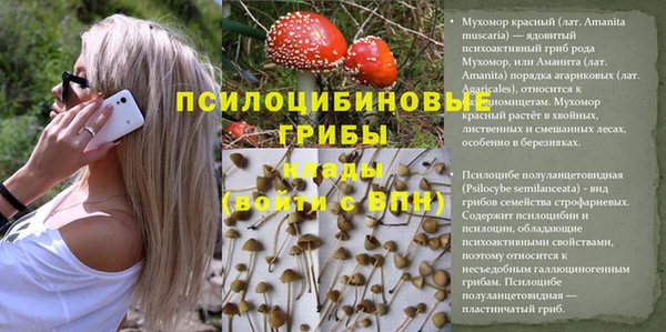 ПСИЛОЦИБИНОВЫЕ ГРИБЫ Алзамай