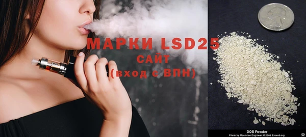 ПСИЛОЦИБИНОВЫЕ ГРИБЫ Алзамай